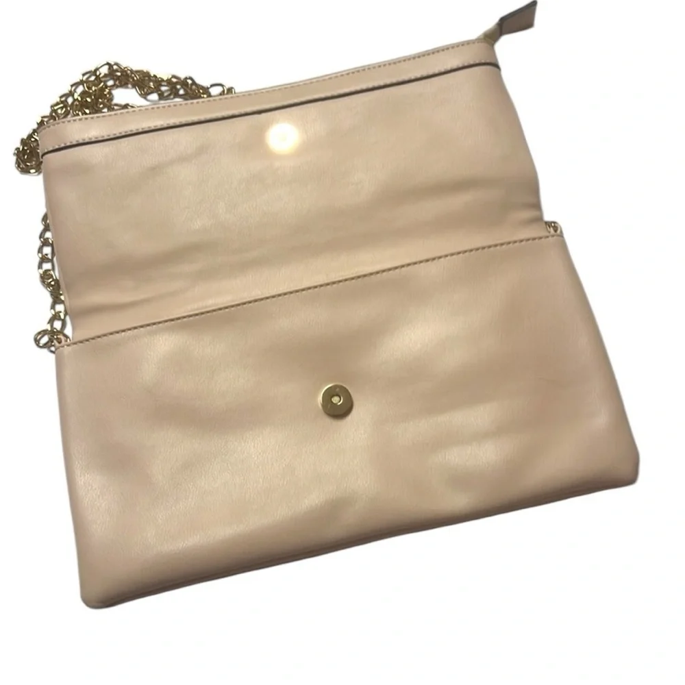 Aldo Pamela clutch/crossbody.